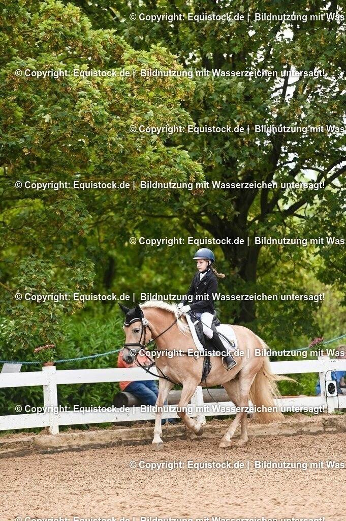 20230716_10-2_Reiter-WB Schritt - Trab - Galopp_0048 | equistock