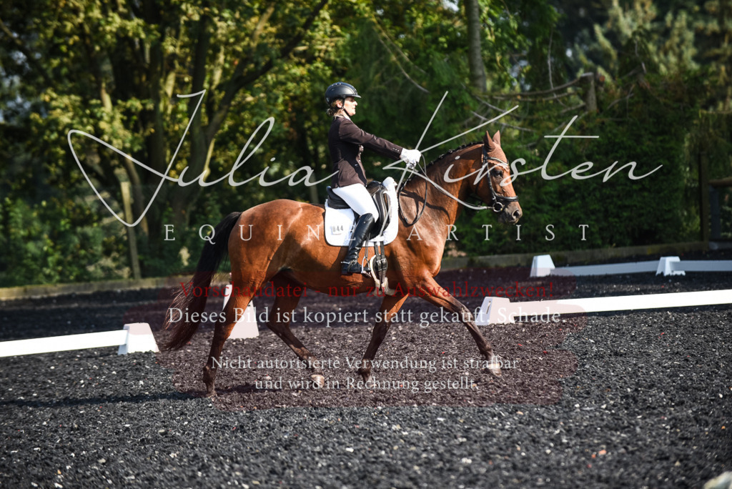 DSC_3228 | Pferde- und Turnierfotografie in Westsachsen. Pferdeportraits, Auftragszeichnungen und intuitive Kunst.