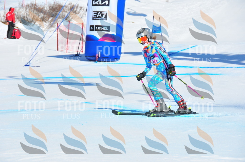 DSC_4075 | holidayphoto