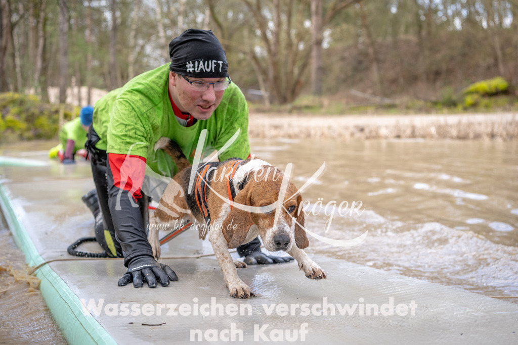0949_ZZ91419-Bearbeitet | kk-dogfotos