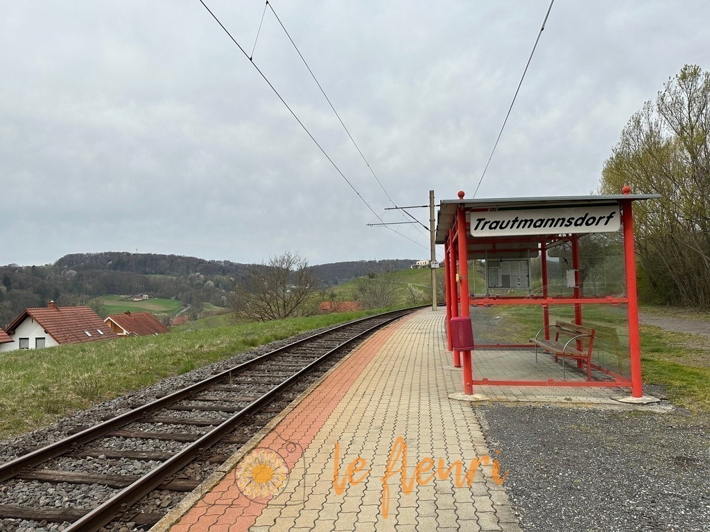 0BF1E459-2190-4E78-A8EB-08CF3676E9A3 | Dies ist der Shop von Florian Blum - le fleuri. Langenthal, Bern, Schweiz. Sie können hier meine oder ihre eigenen Fotos als Fotoprodukte kaufen. Tassen, Schlüsselanhänger, Taschen etc. können Sie hier gestalten.  - Realisiert mit Pictrs.com