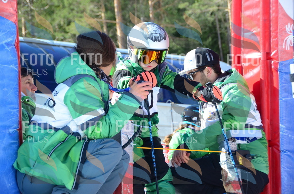 C5348 | holidayphoto