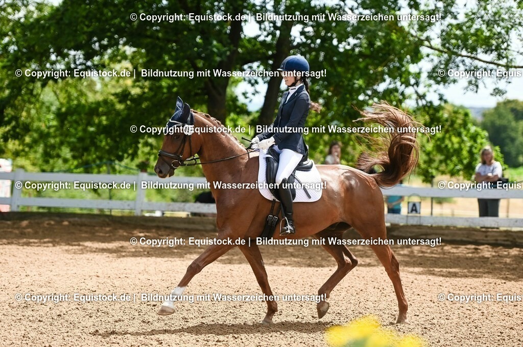 20230716_03_Dressurprfg. Kl.L - Tr._0312 | equistock