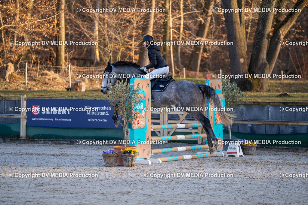 DSC-235 | dv-media-shop - Realisiert mit Pictrs.com