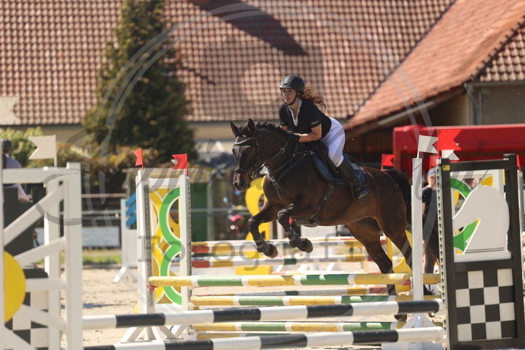 994A5922 | sabrinanicolaifotografie - Realisiert mit Pictrs.com