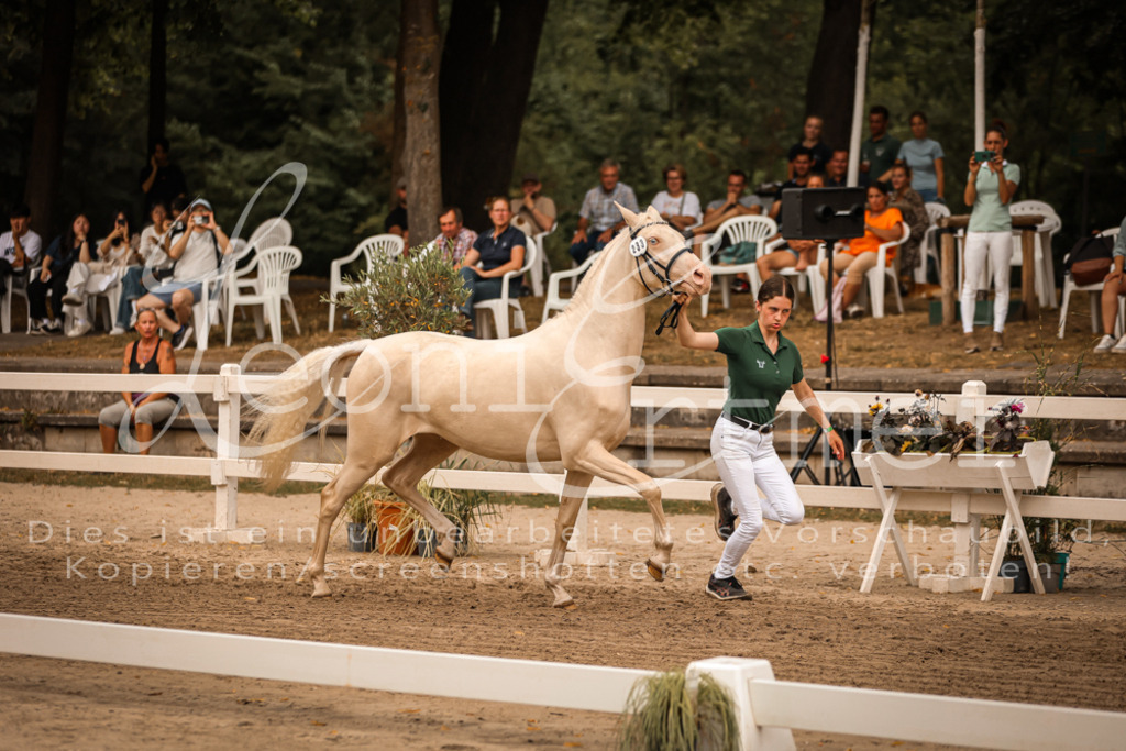 12.So00066 | Leoni Ertmer Photography - Realisiert mit Pictrs.com