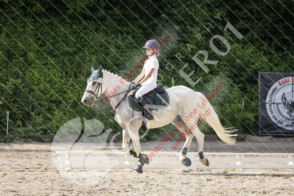 IMG_5912 | Sport-, Event- und Tierfotos in Profiqualität. Einfach auswählen, bestellen und herunterladen. Dein Moment – perfekt festgehalten.