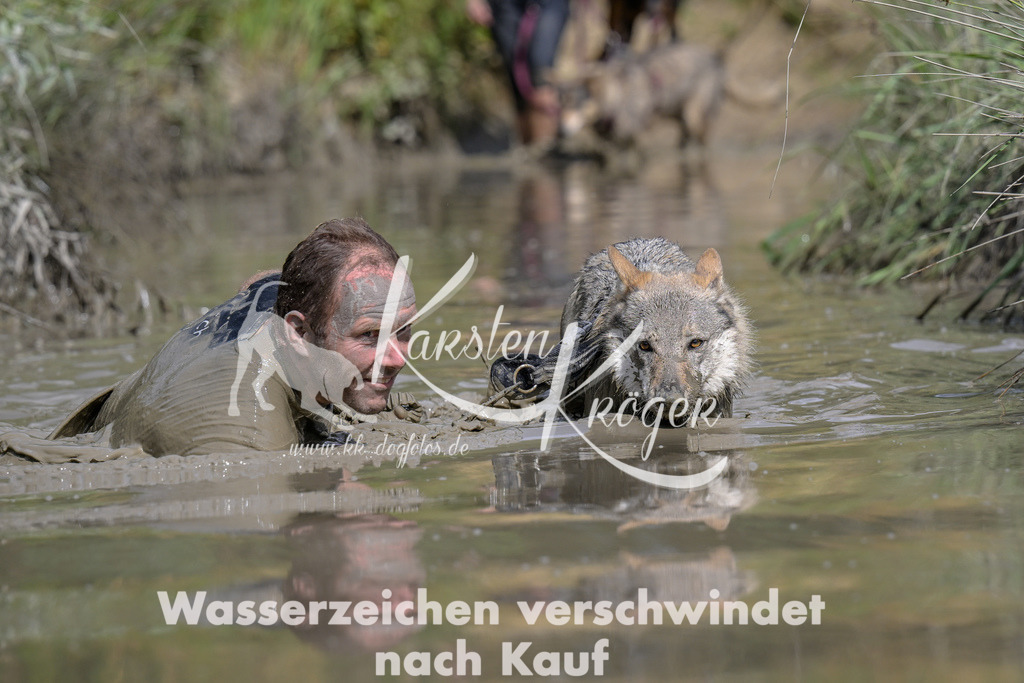 1615_ZZ94787 | kk-dogfotos