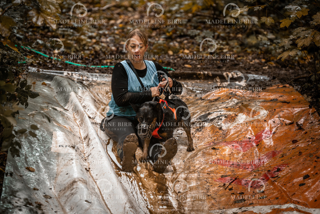 madeleinebirr-fotografie2025.campcanis.sa.13-14Uhr-208 | hundefotografie-birr