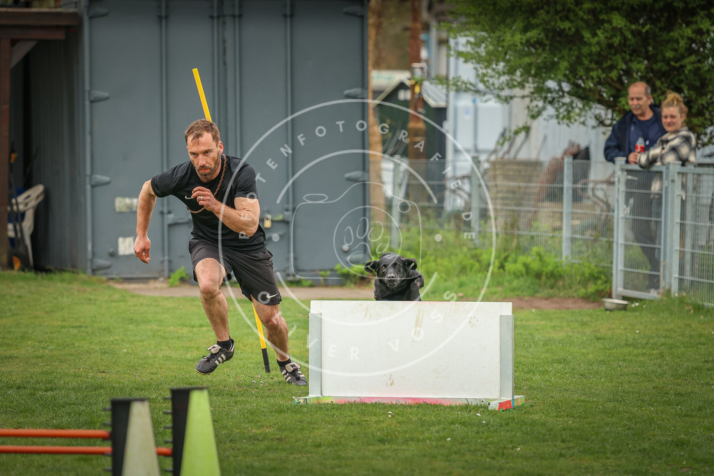 Pfotenfotografie_0L8A0352 | Hundefotografie, Tierfotograf, Pfotenfotografie, Fotoshooting Hund, Hunde Portrait, Hundesport, Hundeportraits, Heideshooting, Hunde, Sportfotograf, Hundefotograf, Turnierhundsport, THS,  - Realisiert mit Pictrs.com