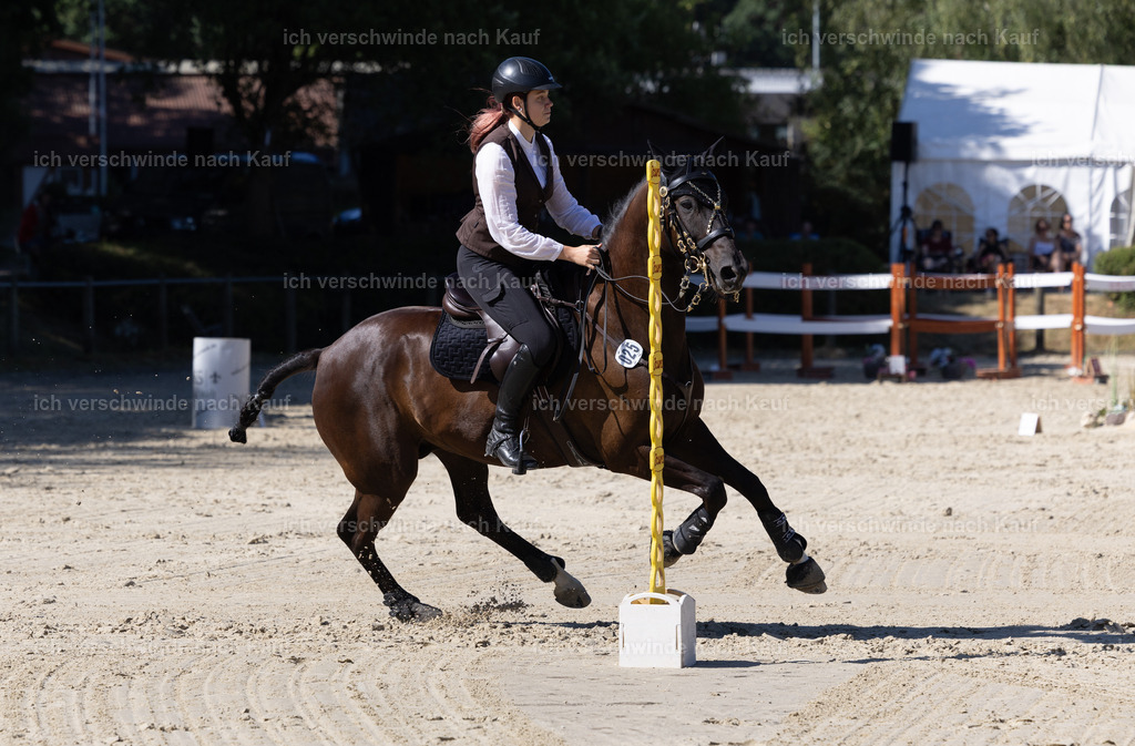 WL_Speed_25_KerstinBernhardt-3 | working equitationturnier fotograf videograf stoibphotography marixx film working equitation deutschland reitsport turnierfotografie eventfotografie equestrian events
