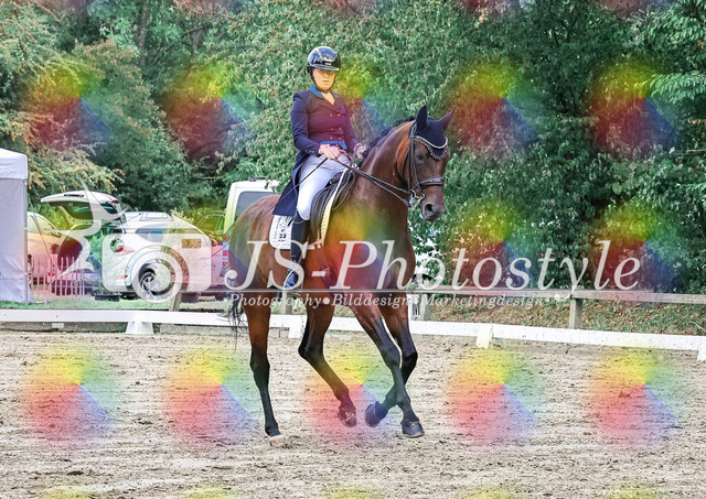 20250727_Dressurprfg_Kl.Sx_Kür-58 | JS-Photostyle - Sport-/Portrait- & Eventfotografie