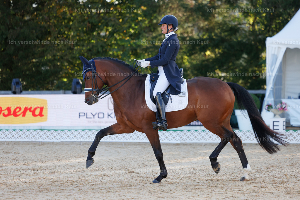 09_1-082-DRESSUR  S_  -StoibPH-5457 | working equitationturnier fotograf videograf stoibphotography marixx film working equitation deutschland reitsport turnierfotografie eventfotografie equestrian events
