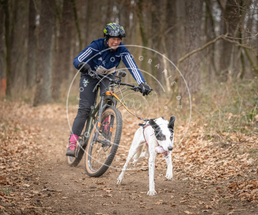 Pfotenfotografie_DV3A5394 | Hundefotografie, Tierfotograf, Pfotenfotografie, Fotoshooting Hund, Hunde Portrait, Hundesport, Hundeportraits, Heideshooting, Hunde, Sportfotograf, Hundefotograf, Turnierhundsport, THS,  - Realisiert mit Pictrs.com