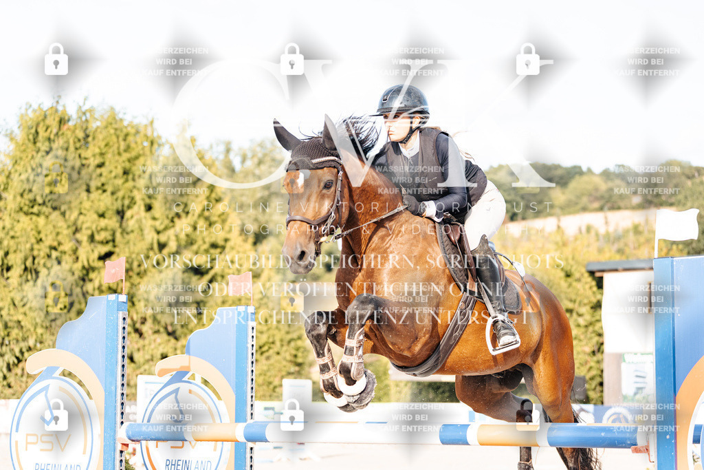 CK903267 | Turnierfotografie Pferdefotografie Trier Rheinland-Pfalz Pferdesport Reitsport Tierfotografie Sportfotografie Pferdevideo Pferdevideografie Equestrianvideography equestrianphotography  - Realisiert mit Pictrs.com