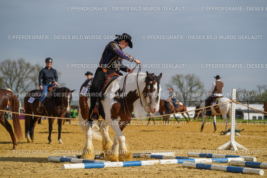 DSC01609 | Pferdegrafie