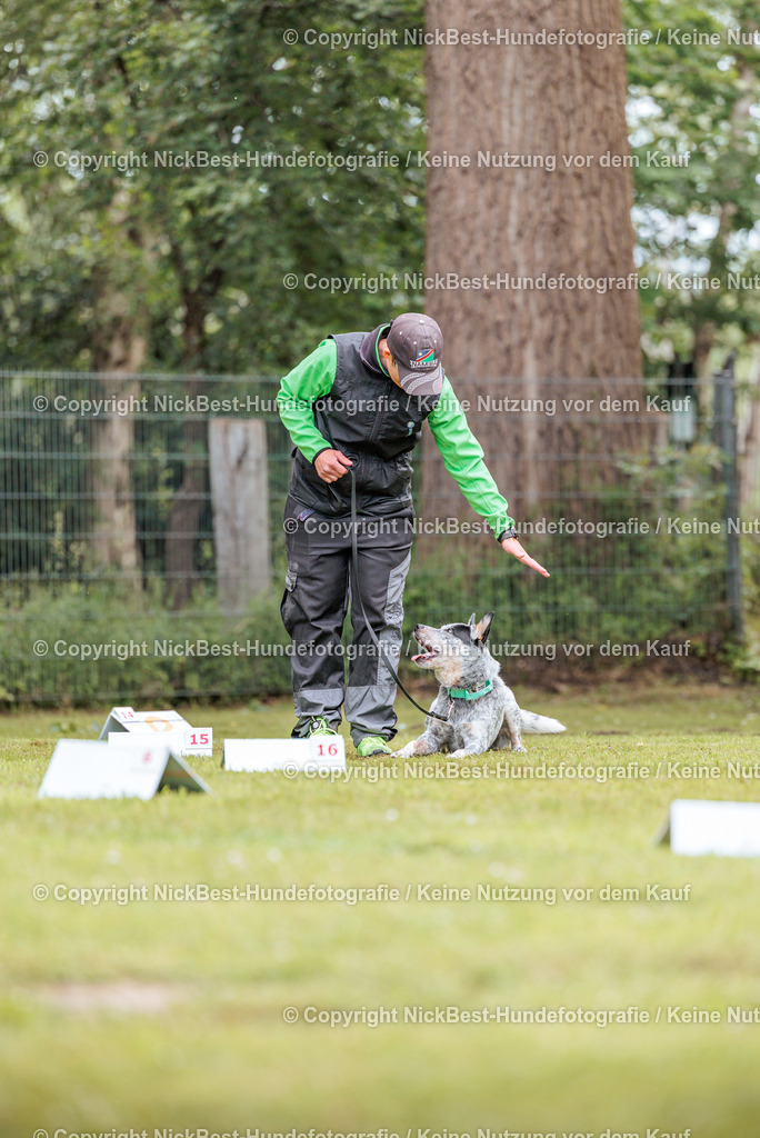 RO-Blumenthal-2026-Nickbest-Hundefotografie-5411 | Dein Hund! Dein Moment! Deine Erinnerungen! Hundefotografie in Bremen Blumenthal. Ich fange die besonderen Momente deines Vierbeiners ein – ob Indoor mit Blitzanlage oder in der freien Natur. Sicher dir dein Moment und dein Termin für eure Erinnerungen.