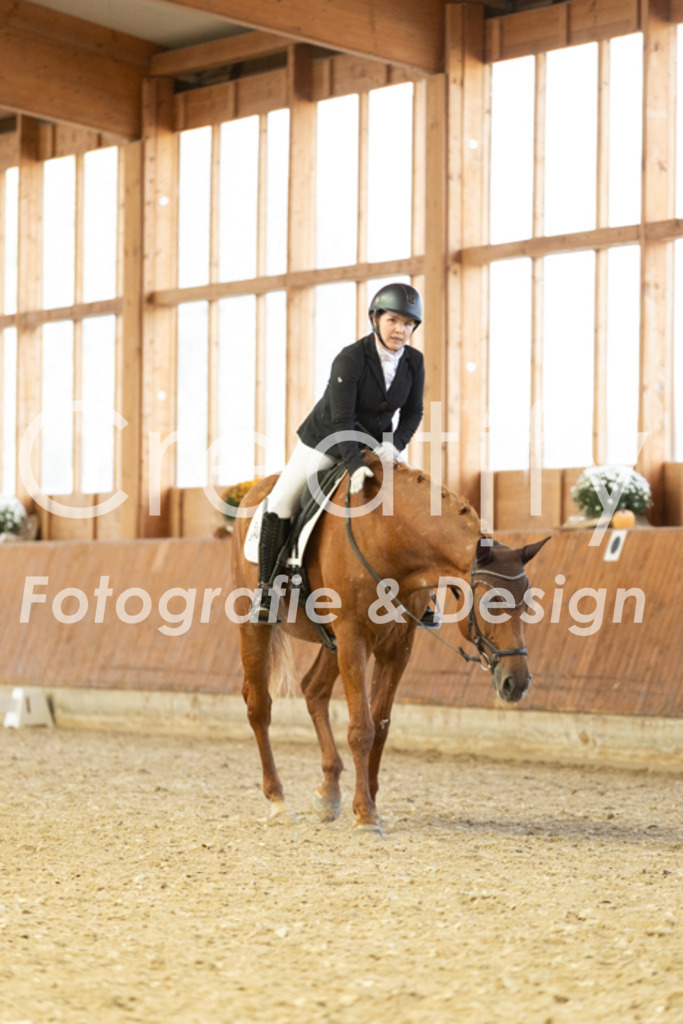 IMG_5847 | Creatify Fotografie