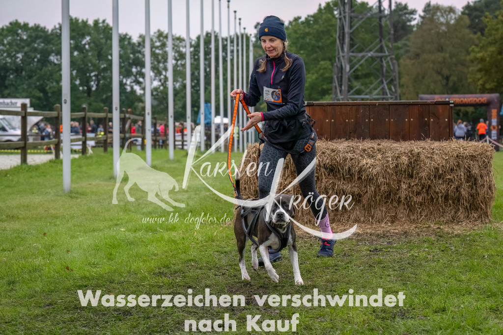 1201--3 | kk-dogfotos