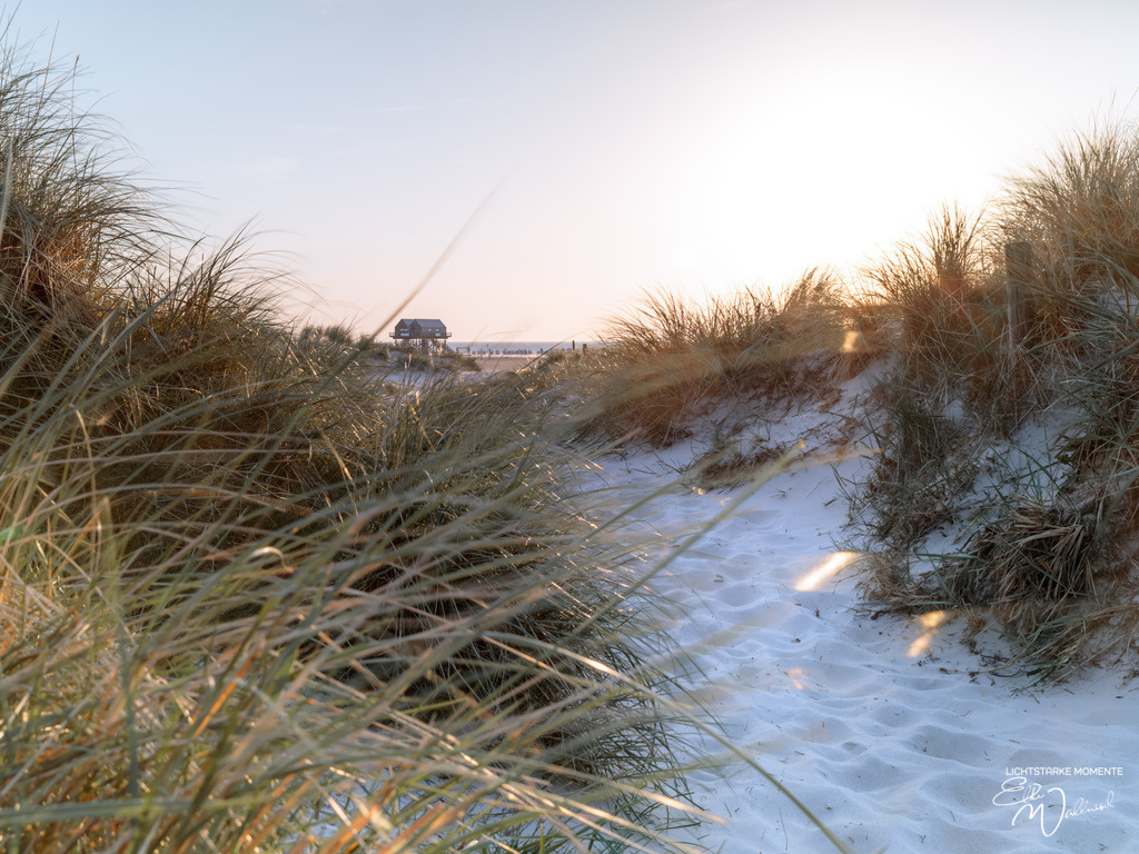 20240501-195229 NORDSEE SPO _195-1 | Herzlich willkommen auf meiner Seite! Ich bin Elke Wallnisch, Deine Fotografin für lichtstarke Momente. Der Name steht für alles, was mich mit der Fotografie verbindet: Das Licht und seine machtvolle Wirkung auf eine Situation oder unsere Stimmung - Realisiert mit Pictrs.com