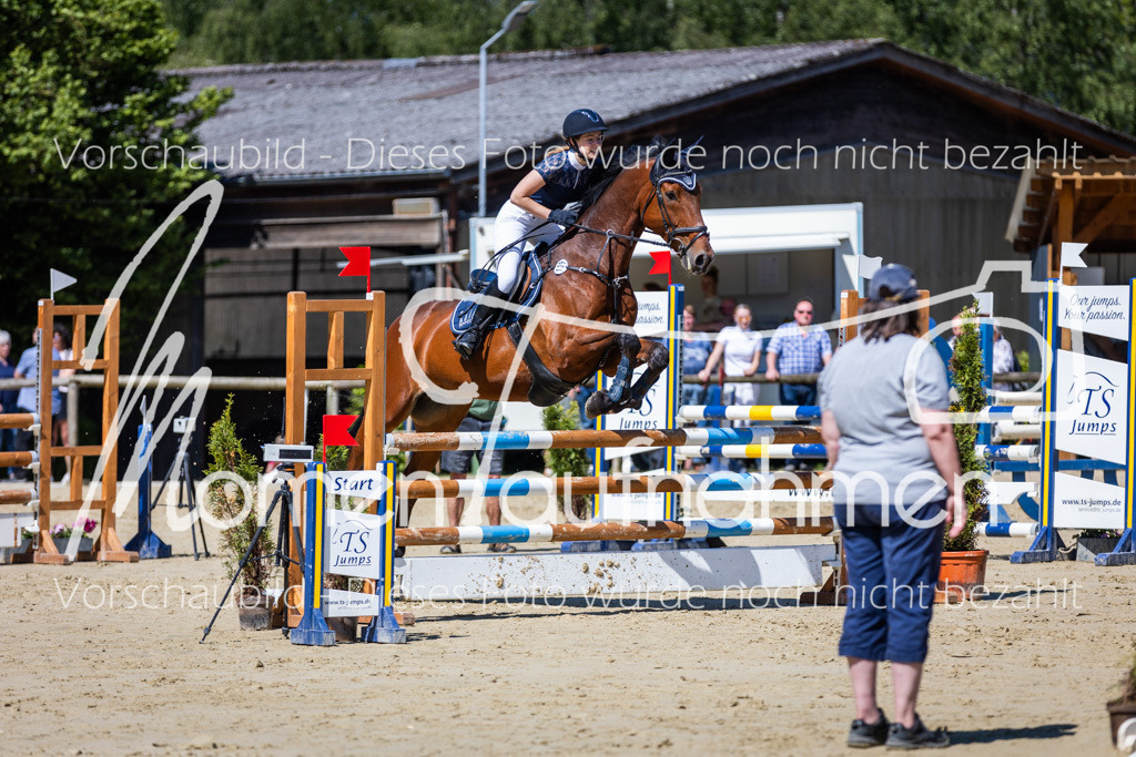 Donop24-ASprmstA-062 | MomenTaufnahmen Pferdesportfotos