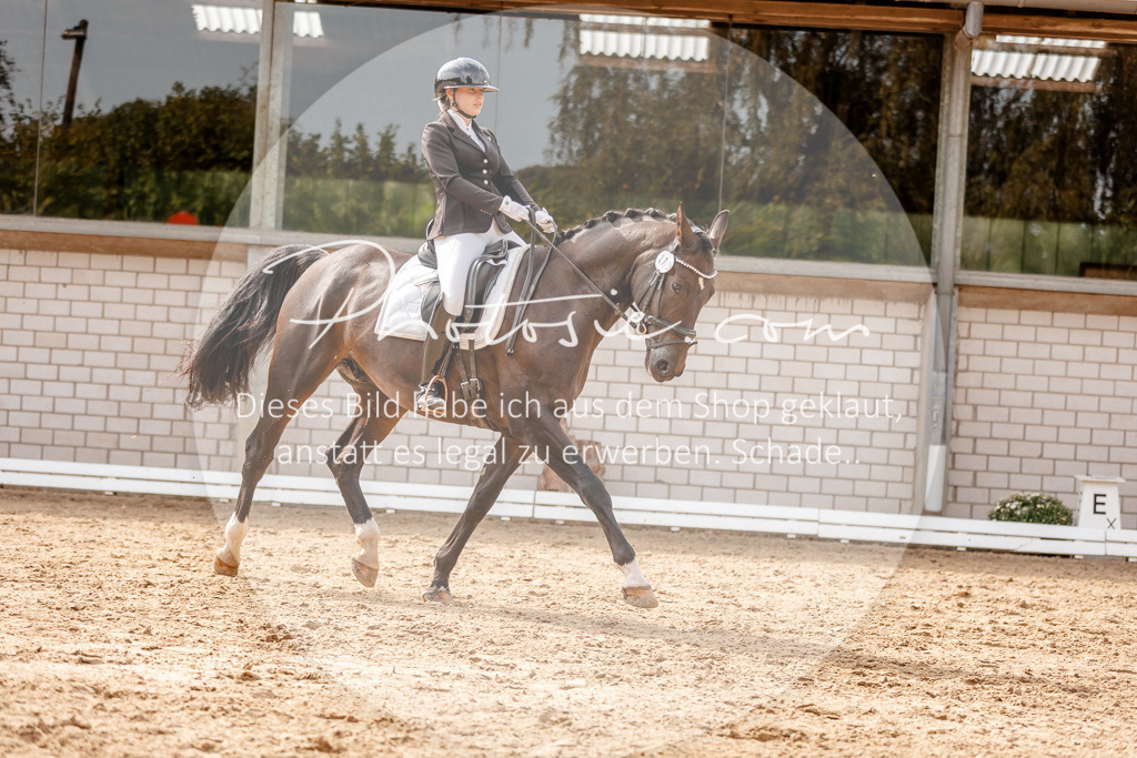3I6A4127 | Stimmungsvolle Portraits und Reitsportfotografie im Ruhrgebiet und im Münsterland.

Pferdefotografie, Hundefotografie, Tierfotografie, Reportagen, Portraits von Tier und Mensch, Turnierfotografie in Bochum, Recklinghausen, Marl, Haltern am See, Dülmen.. - Realisiert mit Pictrs.com