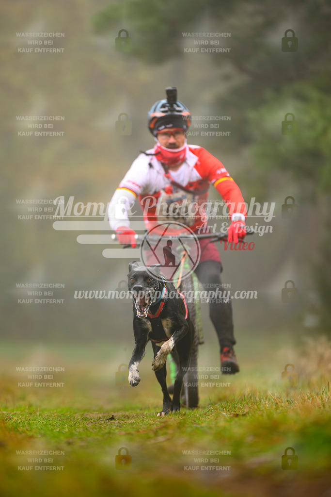 MompixPhotography_Bischwiller2025_Scooter-21 | mompixphotography