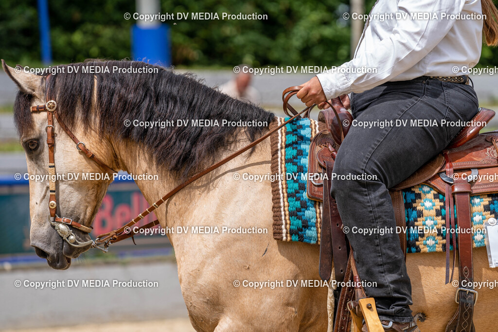 Zeiskam Tag 2-2818 | dv-media-shop - Realisiert mit Pictrs.com