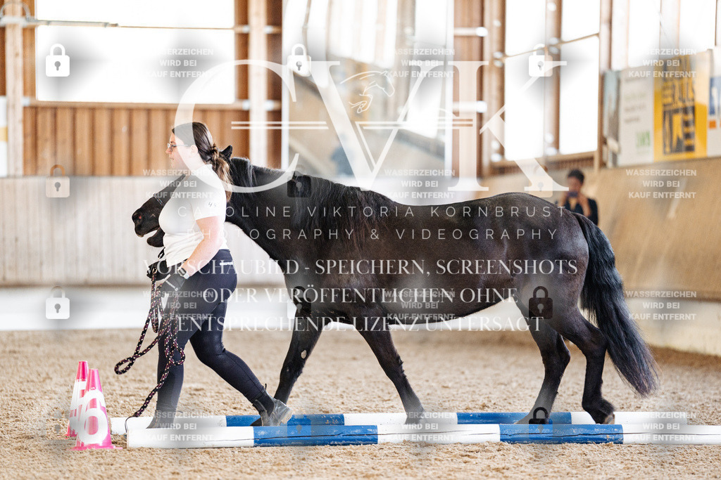CK905714 | Turnierfotografie Pferdefotografie Trier Rheinland-Pfalz Pferdesport Reitsport Tierfotografie Sportfotografie Pferdevideo Pferdevideografie Equestrianvideography equestrianphotography  - Realisiert mit Pictrs.com