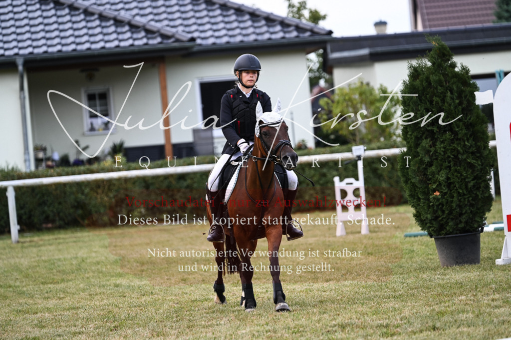 DSC_5701 | Pferde- und Turnierfotografie in Westsachsen. Pferdeportraits, Auftragszeichnungen und intuitive Kunst.