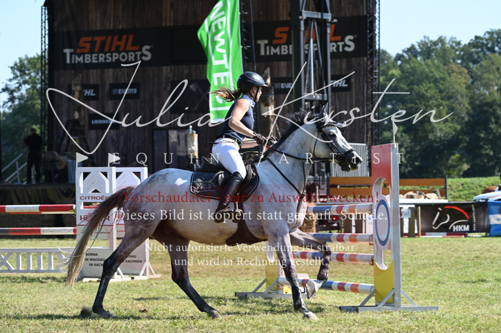 DSC_6357 | Pferde- und Turnierfotografie in Westsachsen. Pferdeportraits, Auftragszeichnungen und intuitive Kunst.