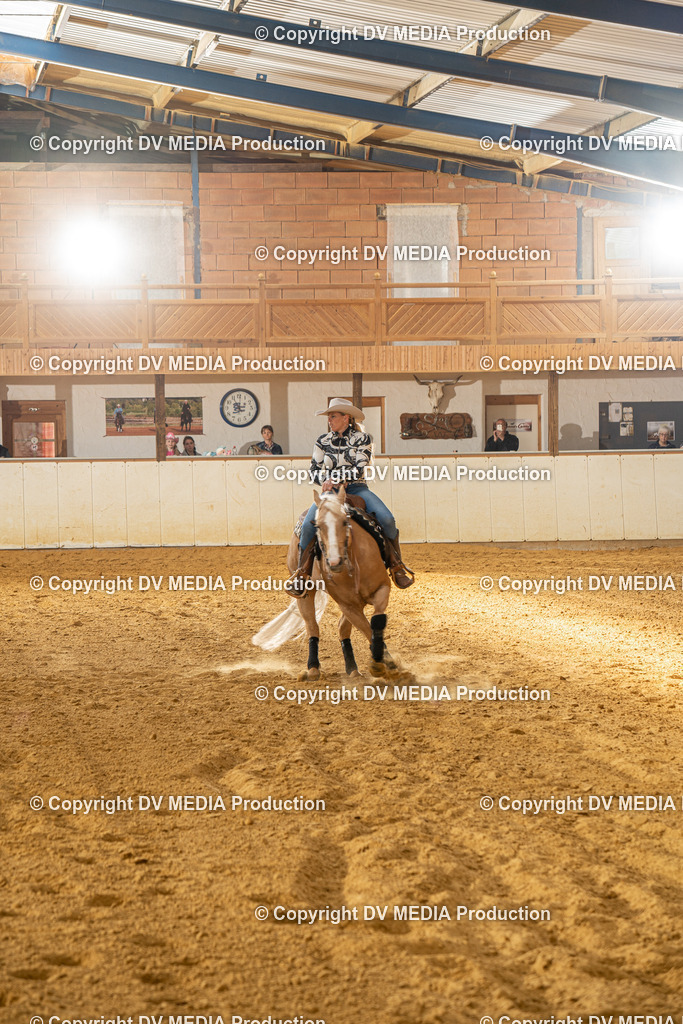 MIT01065 | dv-media-shop - Realisiert mit Pictrs.com