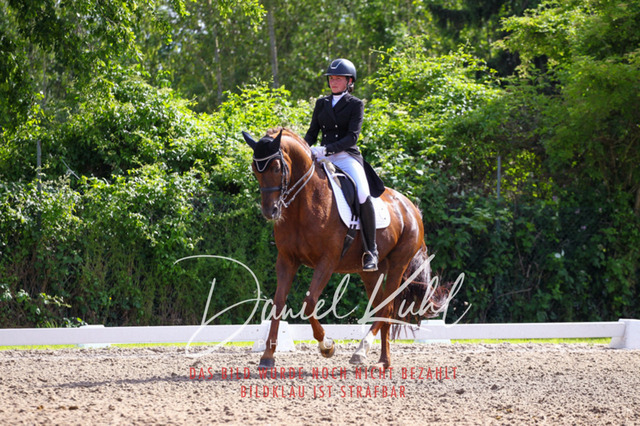 DKP41433 | Turnierfotos kaufen im Webshop von Daniel Kuhl Photography – entdecke professionelle Reitsportfotos aus Turnieren & Events. Hochwertige Turnierbilder online bestellen & sichern. Jetzt Fotos von Reitsportturnieren kaufen!