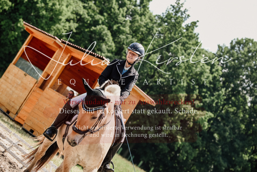 DSC_1657 | Pferde- und Turnierfotografie in Westsachsen. Pferdeportraits, Auftragszeichnungen und intuitive Kunst.