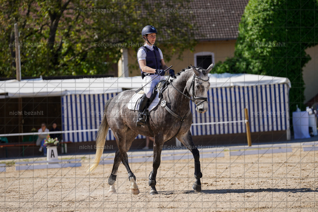 20240518-FAH03045 | rbilder, Turnierfotografen ayern, Fotoagentur Herrmann, Geländeturnier, Springbilder, Dressurbilder, Jungpferdefotograf