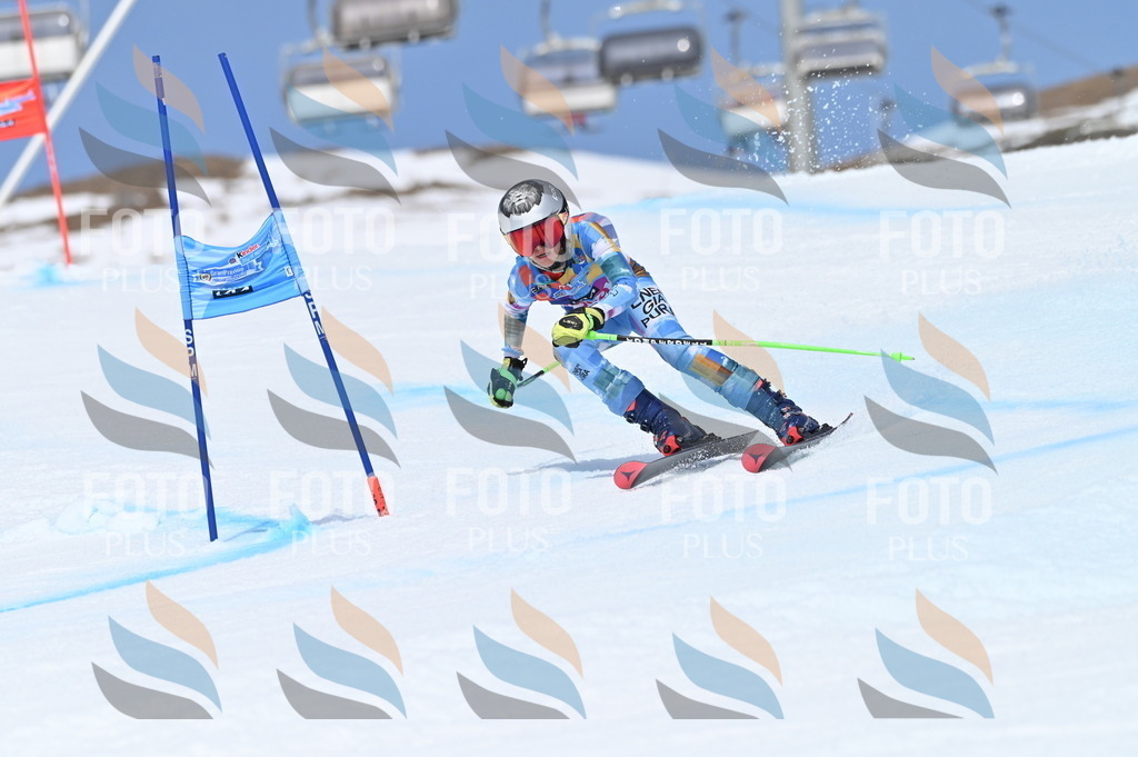 BGV_2387 | holidayphoto