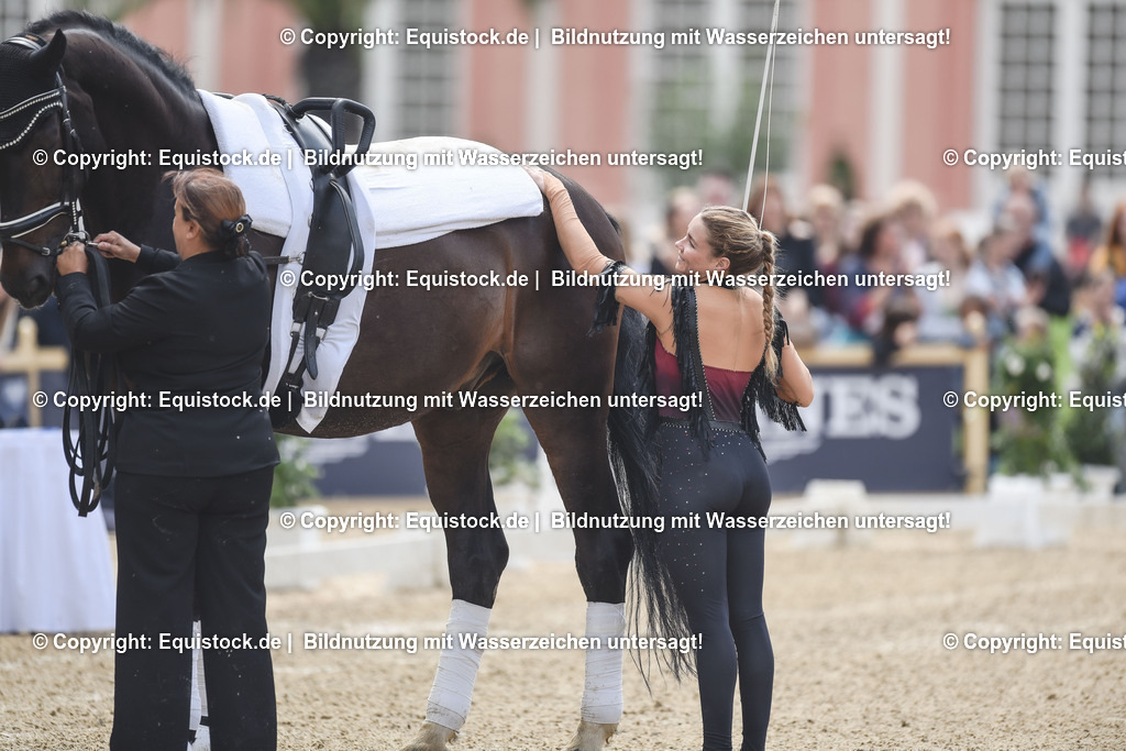 20240519_Voltige_0457 | Foto: Thomas Hartig