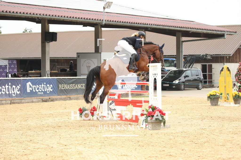 DL2Q7273 | Willkommen bei Brunnmayr - Design & Fotografie – Ihrem Spezialisten für Reitturniere und Pferdeveranstaltungen in Oberösterreich, Salzburg und Bayern! Seit über 17 Jahren sind wir leidenschaftlich dabei.