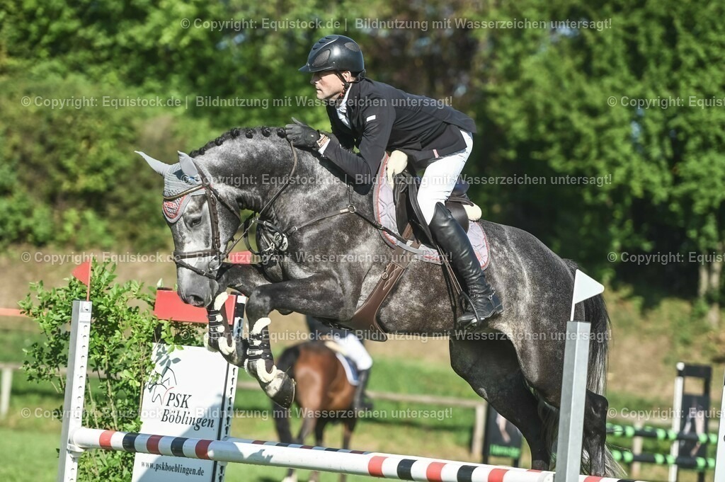 20230908_14-15_Springpferde-A_0085 | equistock