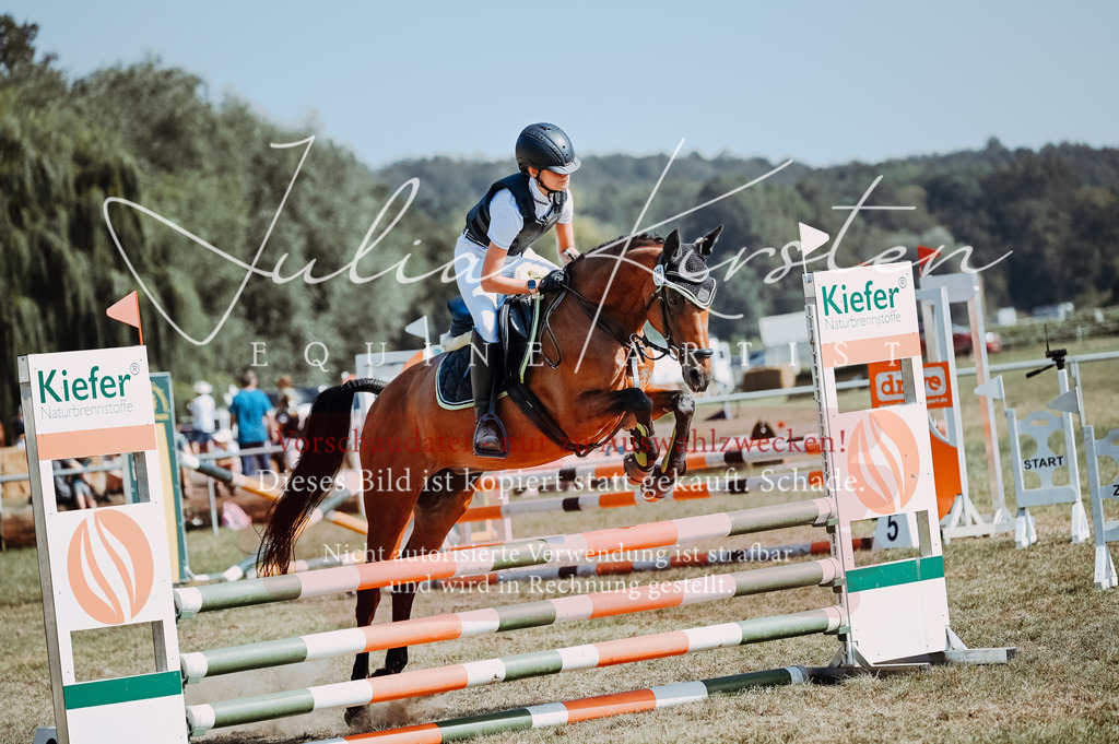 DSC_9413 | Pferde- und Turnierfotografie in Westsachsen. Pferdeportraits, Auftragszeichnungen und intuitive Kunst.