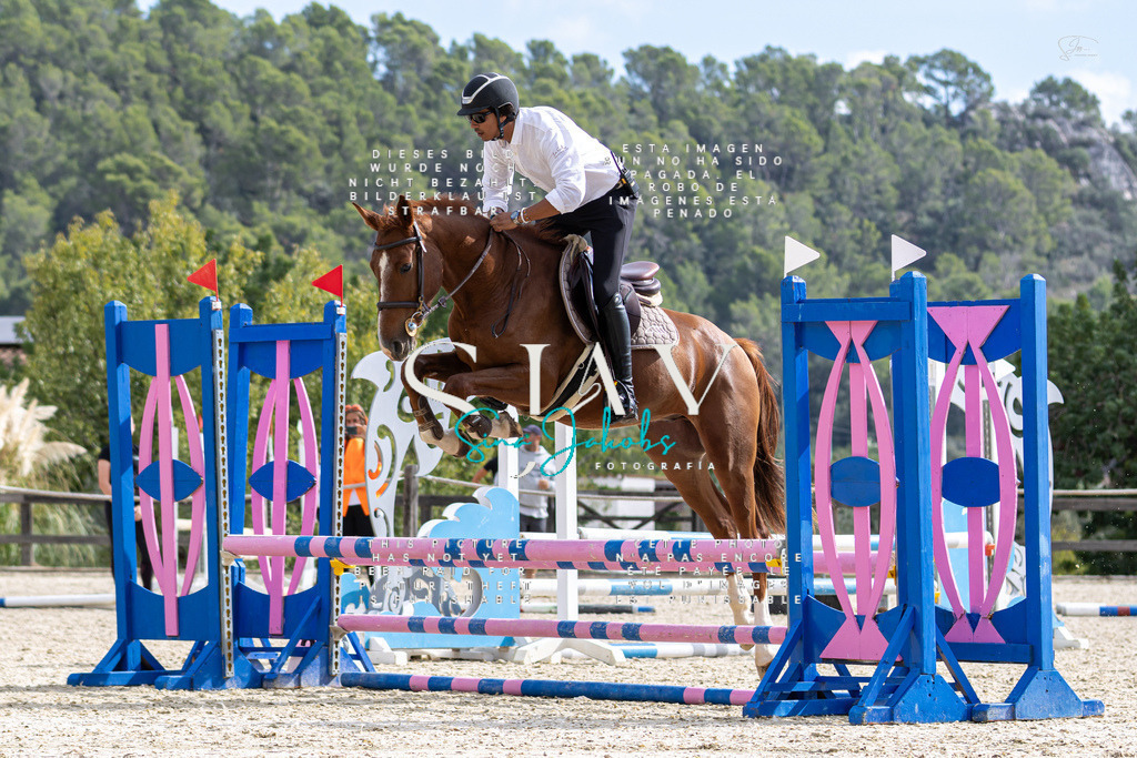 IMG_2450 | s-jay-photography - Realisiert mit Pictrs.com