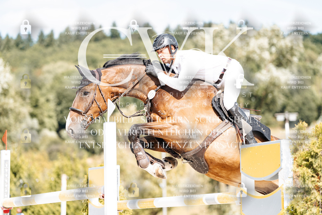 CK908928 | Turnierfotografie Pferdefotografie Trier Rheinland-Pfalz Pferdesport Reitsport Tierfotografie Sportfotografie Pferdevideo Pferdevideografie Equestrianvideography equestrianphotography  - Realisiert mit Pictrs.com