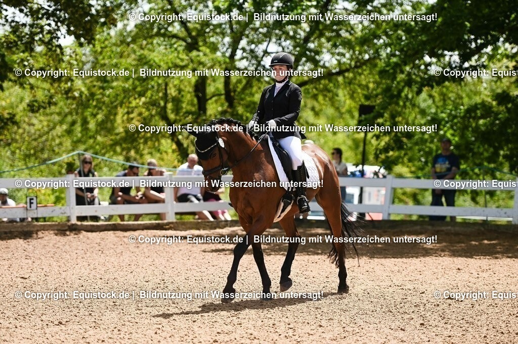 20230716_03_Dressurprfg. Kl.L - Tr._0076 | equistock