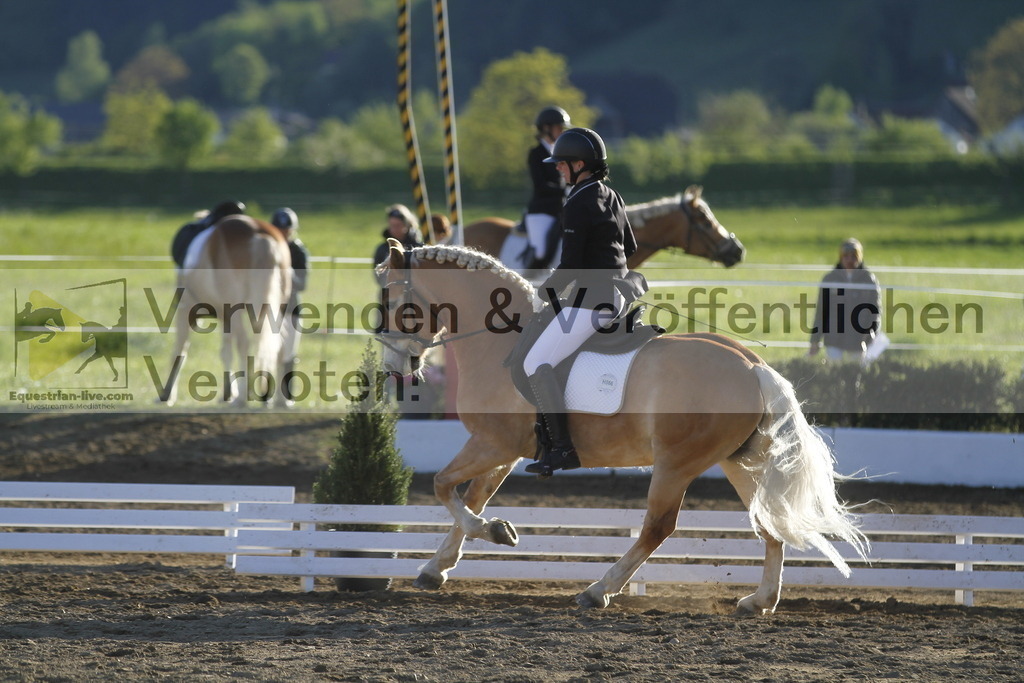_MG_4426 | equestrian-live-com