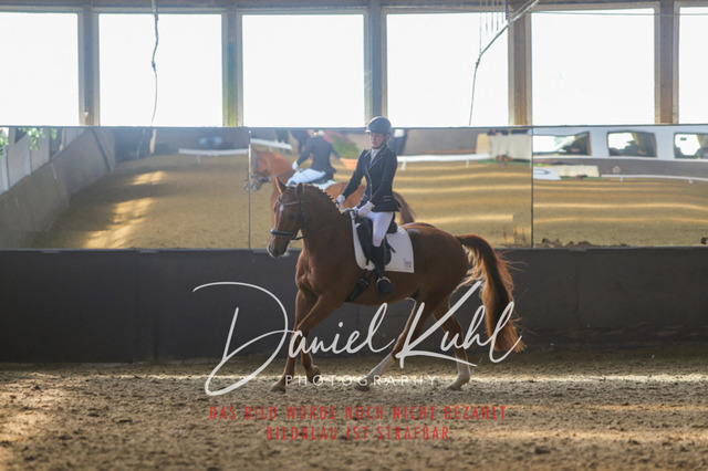 IMG_2359 | Turniersportfotografie; Pferdefotografie; Dressurfotografie