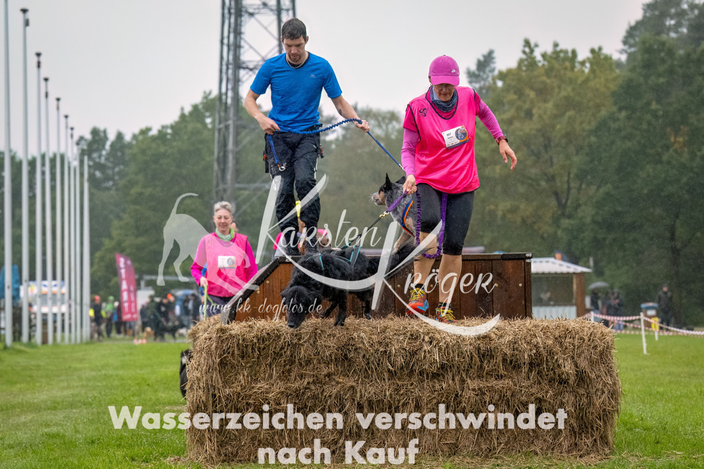 1005--29 | kk-dogfotos