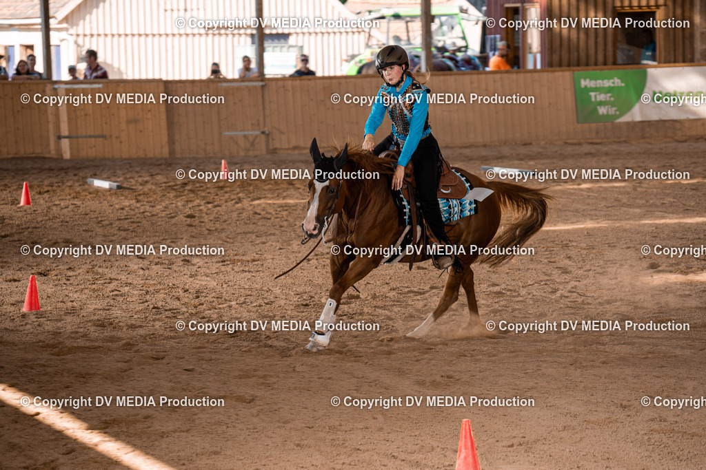 NE101149 | dv-media-shop - Realisiert mit Pictrs.com