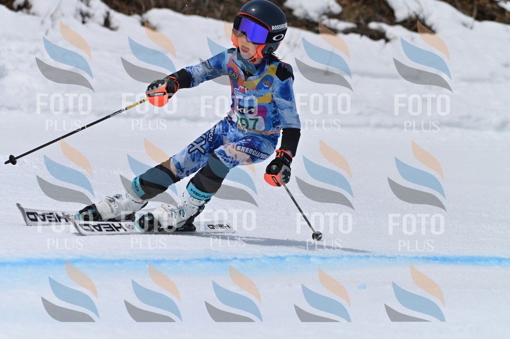 BGV_3798 | holidayphoto