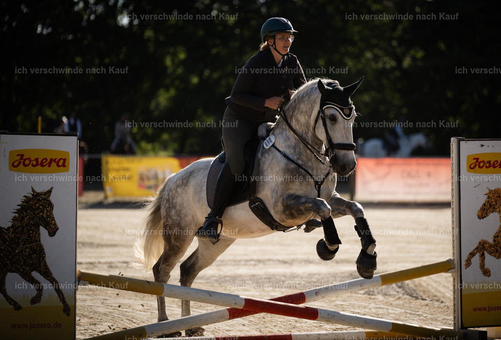 WL_SP_69_Stoibphotography_SO13281 | working equitationturnier fotograf videograf stoibphotography marixx film working equitation deutschland reitsport turnierfotografie eventfotografie equestrian events