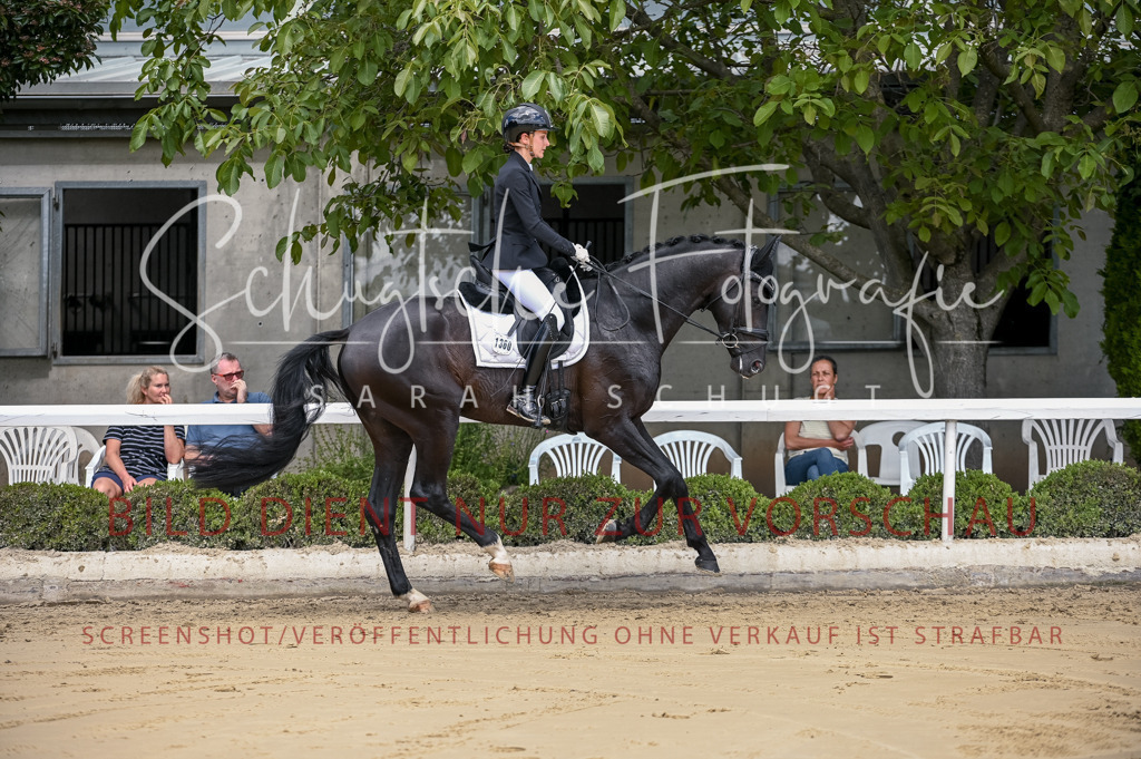 Schugtsche-Aluta25-48.Reitpferfdeprf.-101 | Schugtsche Fotografie - Realisiert mit Pictrs.com